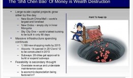 国产19页,揭秘我国科技发展的新篇章