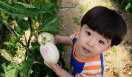 娱乐吃瓜酱不幸的童年,揭开不幸童年的伤疤