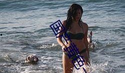 成人三级国产,成人三级教育新篇章