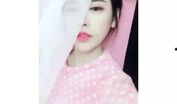 主播国产,主播国产生态圈深度解析