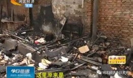 国产乱一区,揭秘国内影视产业的独特魅力与挑战